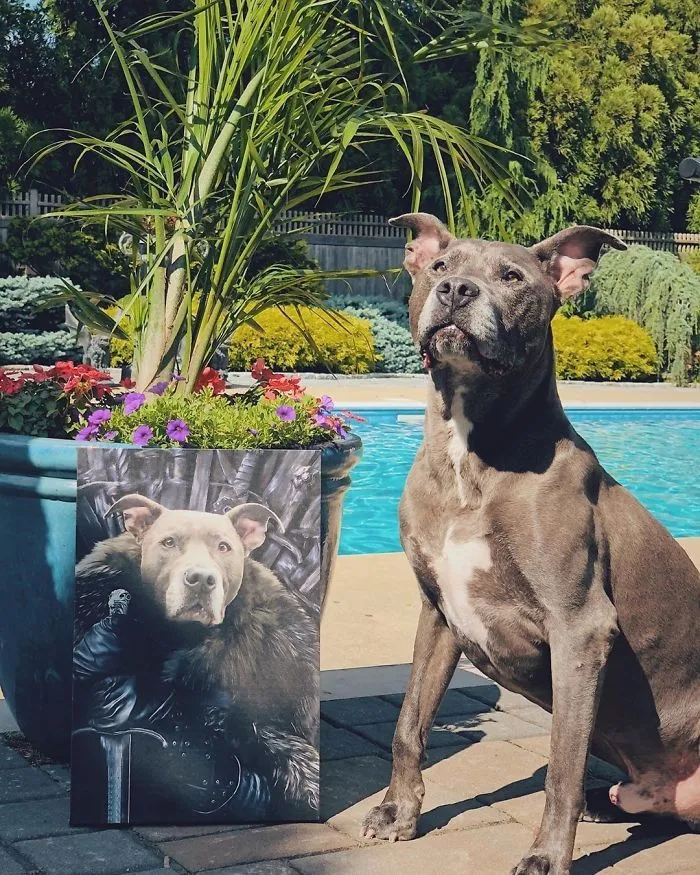 This Company Can Turn A Pet Into A Royal Portrait And Here Are 30 Of The Best Ones