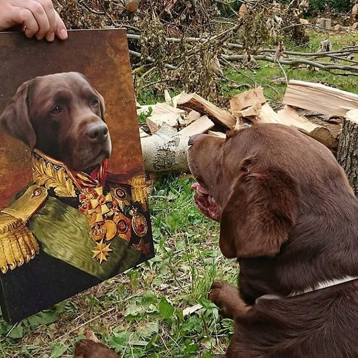 This Company Can Turn A Pet Into A Royal Portrait And Here Are 30 Of The Best Ones