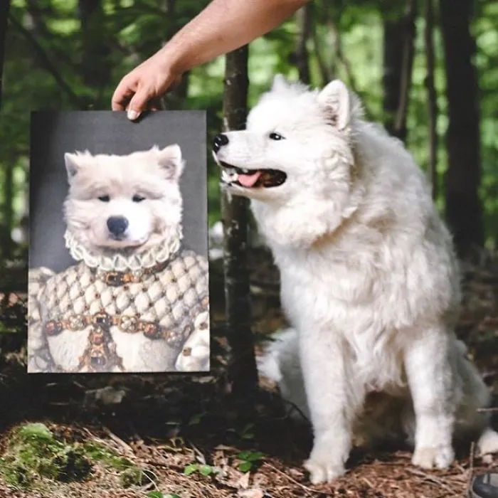 This Company Can Turn A Pet Into A Royal Portrait And Here Are 30 Of The Best Ones