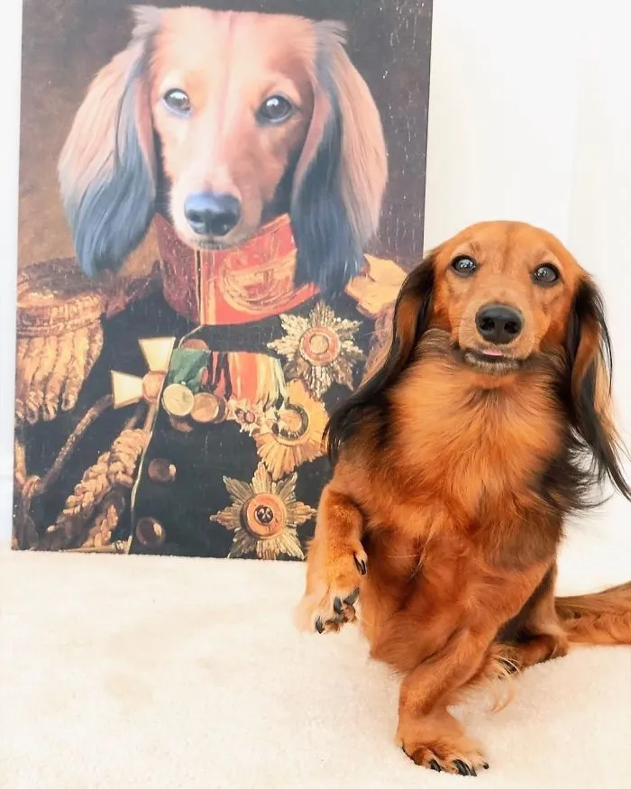This Company Can Turn A Pet Into A Royal Portrait And Here Are 30 Of The Best Ones