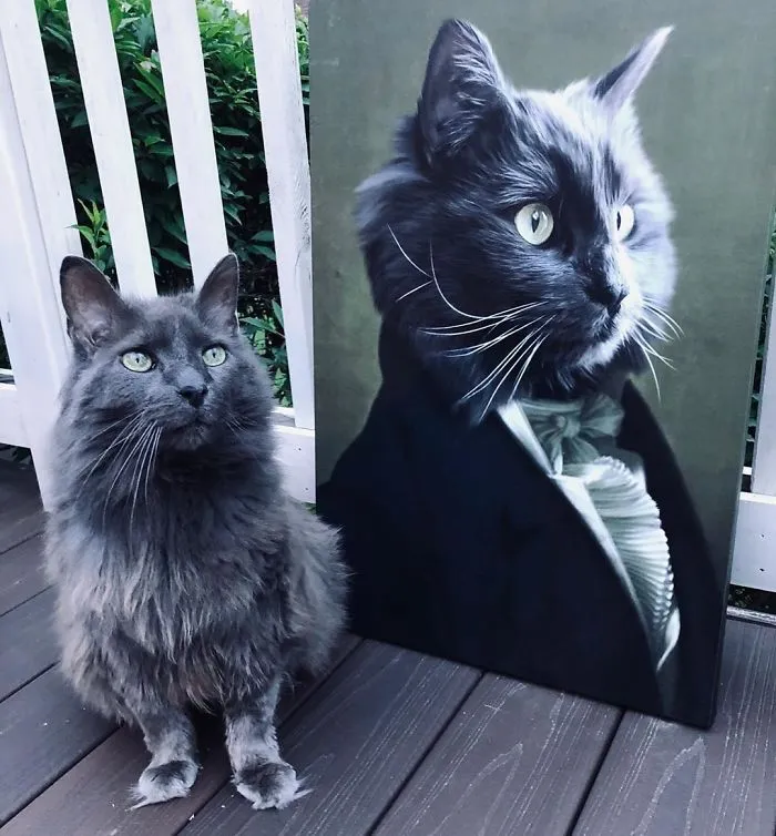 This Company Can Turn A Pet Into A Royal Portrait And Here Are 30 Of The Best Ones