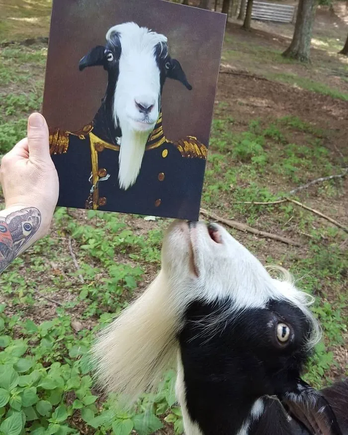This Company Can Turn A Pet Into A Royal Portrait And Here Are 30 Of The Best Ones