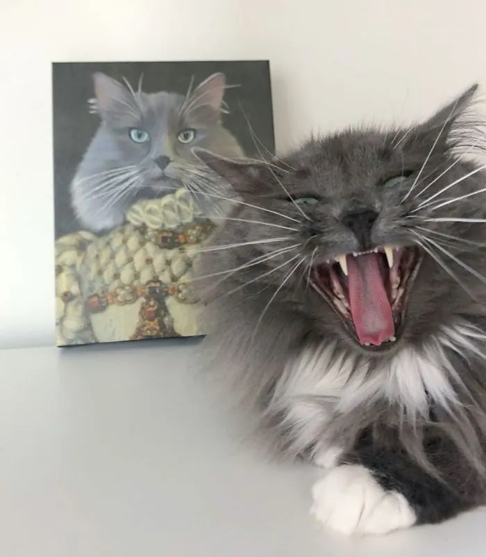 This Company Can Turn A Pet Into A Royal Portrait And Here Are 30 Of The Best Ones