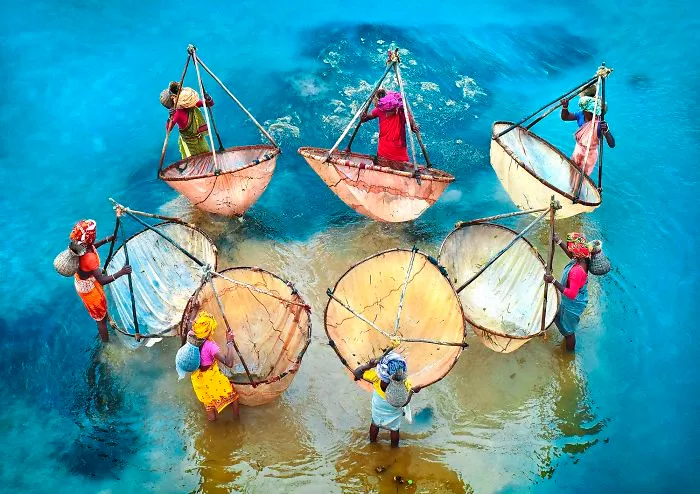 Colors Of Life