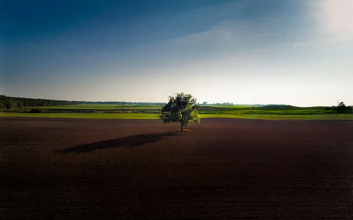 I Capture Wild Animals And Stunning Landscapes In Lithuania Using My Drone (22 Pics)