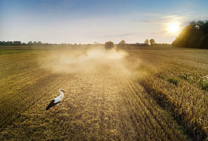 I Capture Wild Animals And Stunning Landscapes In Lithuania Using My Drone (22 Pics)