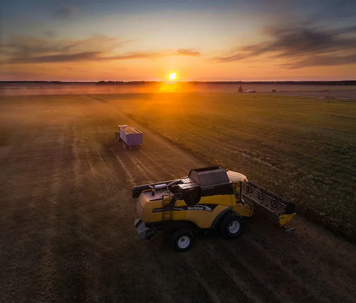 I Capture Wild Animals And Stunning Landscapes In Lithuania Using My Drone (22 Pics)