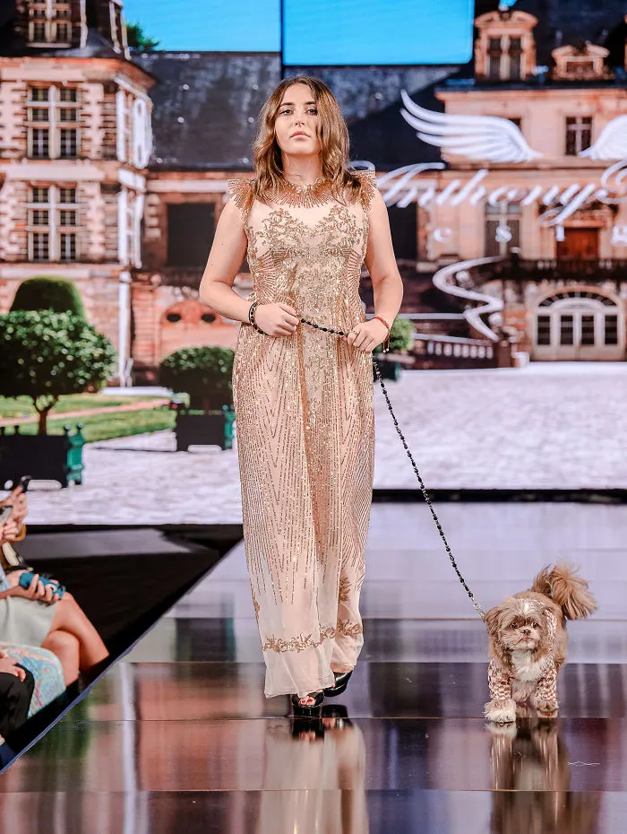 My Spring/Summer 2020 Collection For The New York Fashion Week Where Dogs Take Over The Catwalk (21 Pics)