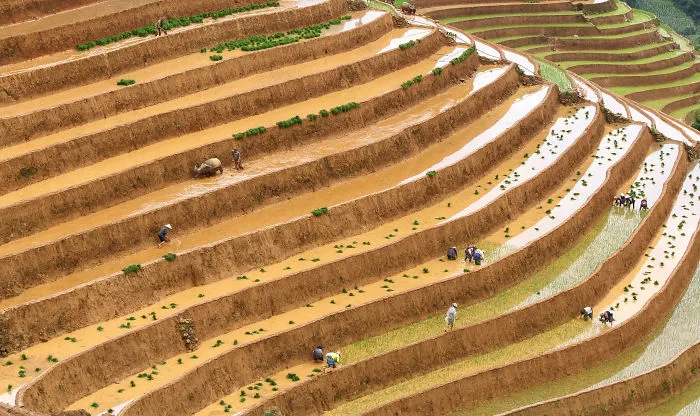 Farming