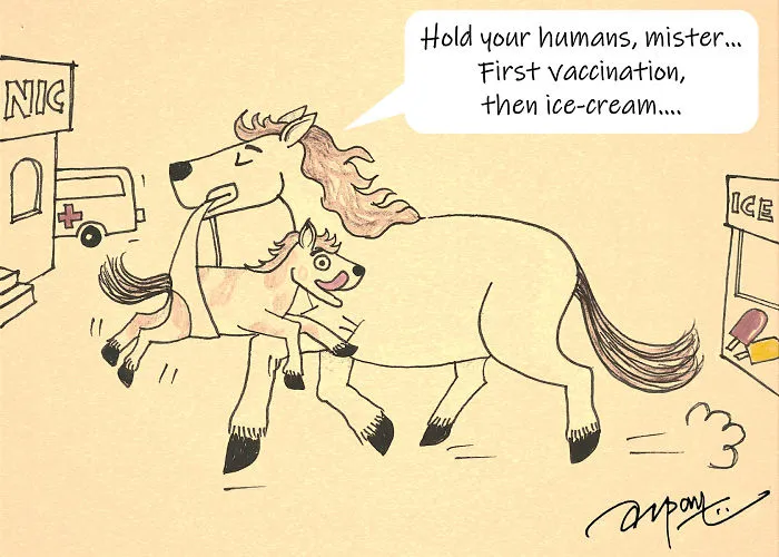 Hold Your Horses