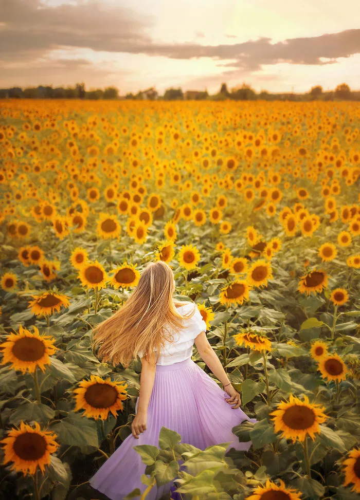 I Create This Dreamy Portraits Inspired By Van Gogh's Sunflowers