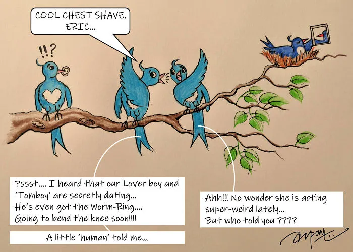 A Little Bird Told Me