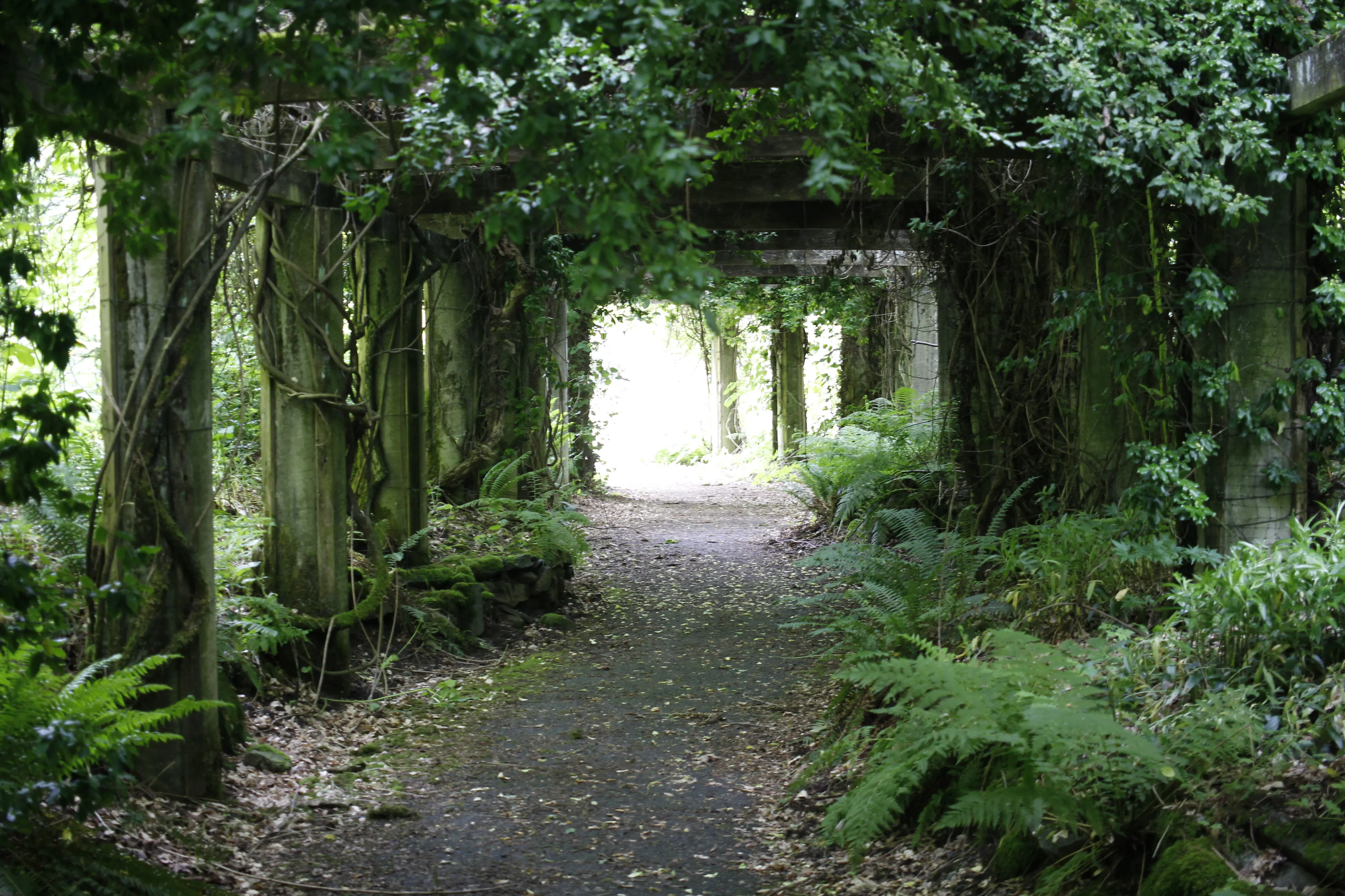 From Wonderland To Jurassic Park: Before And After Photos Of Minter Gardens