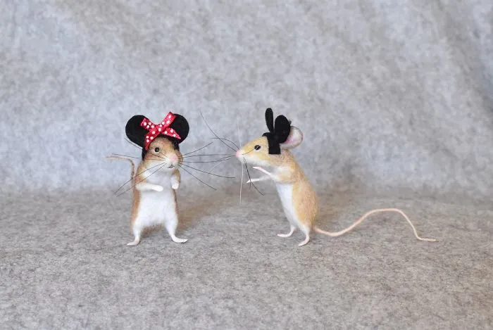 Minnie & Mickey