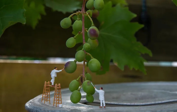 I Create Little Worlds Of Miniature People (83 Pics)
