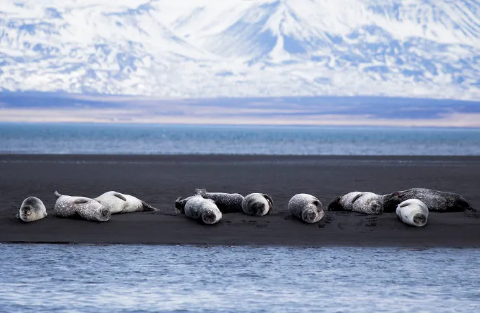I’ve Circled Iceland 3 Times, Here Are My 28 Favorite Pics That Capture Its Beauty
