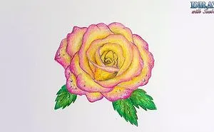 This Rose Drawing That I Made When I Was 10-Year-Old.
