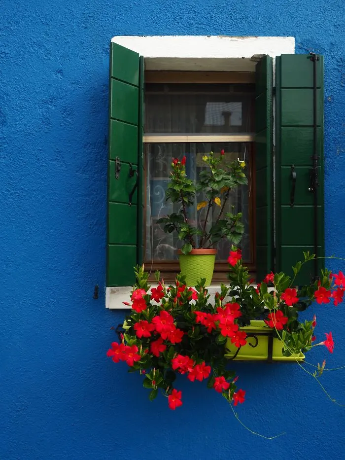 Went To Burano, Brought Back Some Colorful Pictures