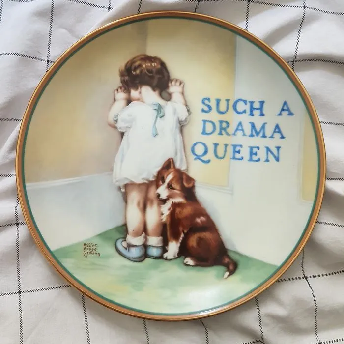 My 40 'Very Ugly Plates' With Dark Humor Captions