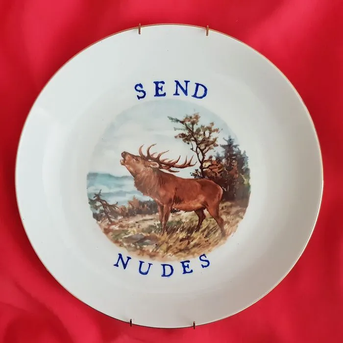 My 40 'Very Ugly Plates' With Dark Humor Captions