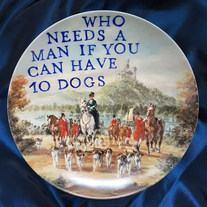 My 40 'Very Ugly Plates' With Dark Humor Captions