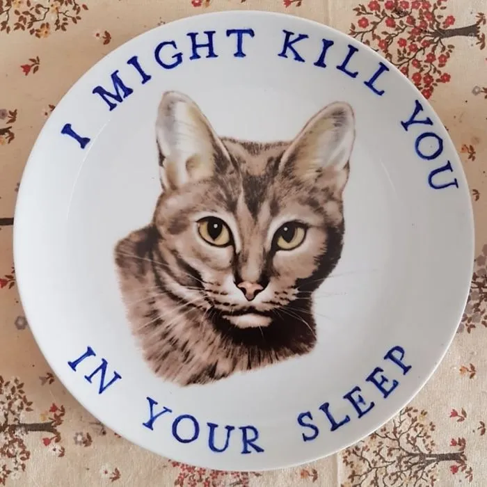 My 40 'Very Ugly Plates' With Dark Humor Captions