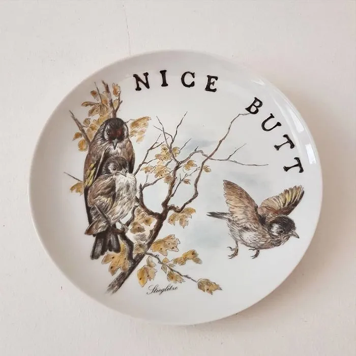 My 40 'Very Ugly Plates' With Dark Humor Captions