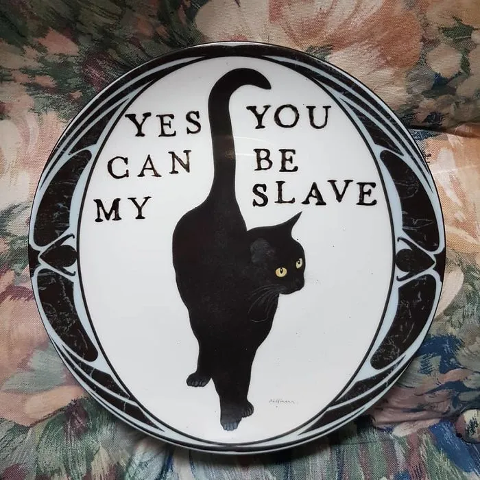 My 40 'Very Ugly Plates' With Dark Humor Captions