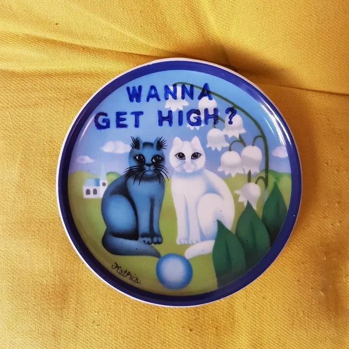 My 40 'Very Ugly Plates' With Dark Humor Captions