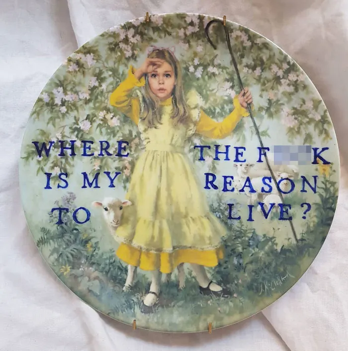 My 40 'Very Ugly Plates' With Dark Humor Captions