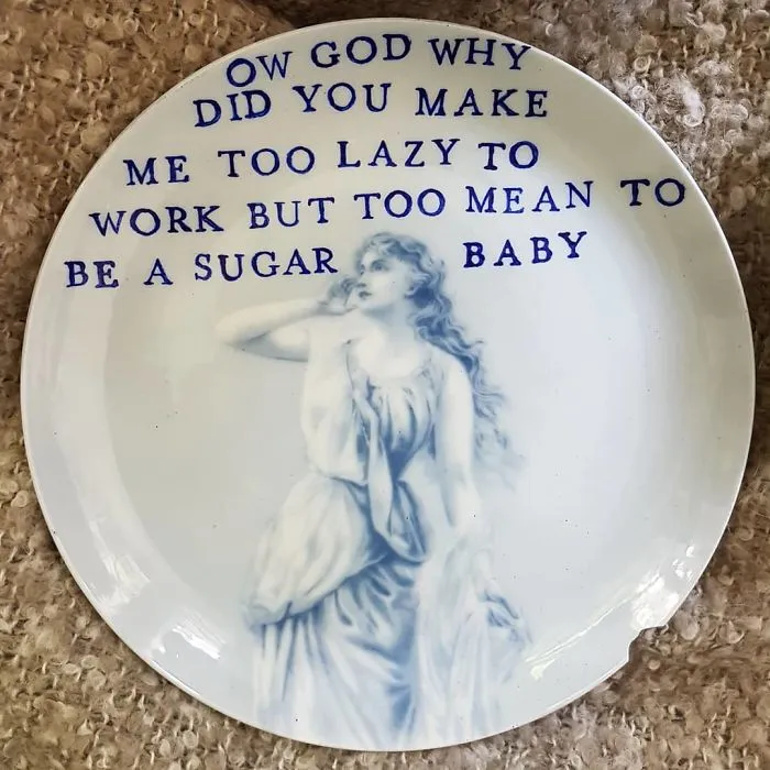 My 40 'Very Ugly Plates' With Dark Humor Captions