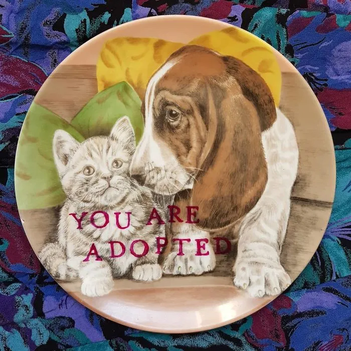 My 40 'Very Ugly Plates' With Dark Humor Captions