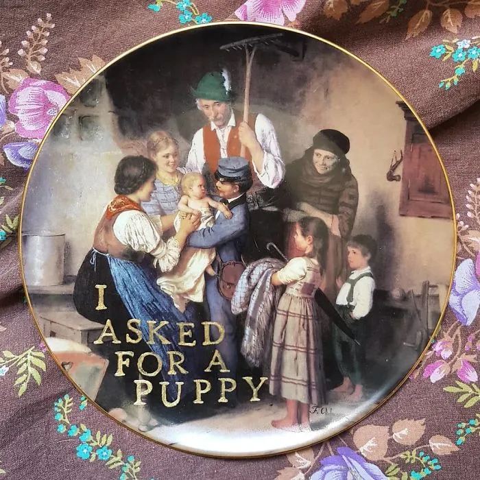 My 40 'Very Ugly Plates' With Dark Humor Captions