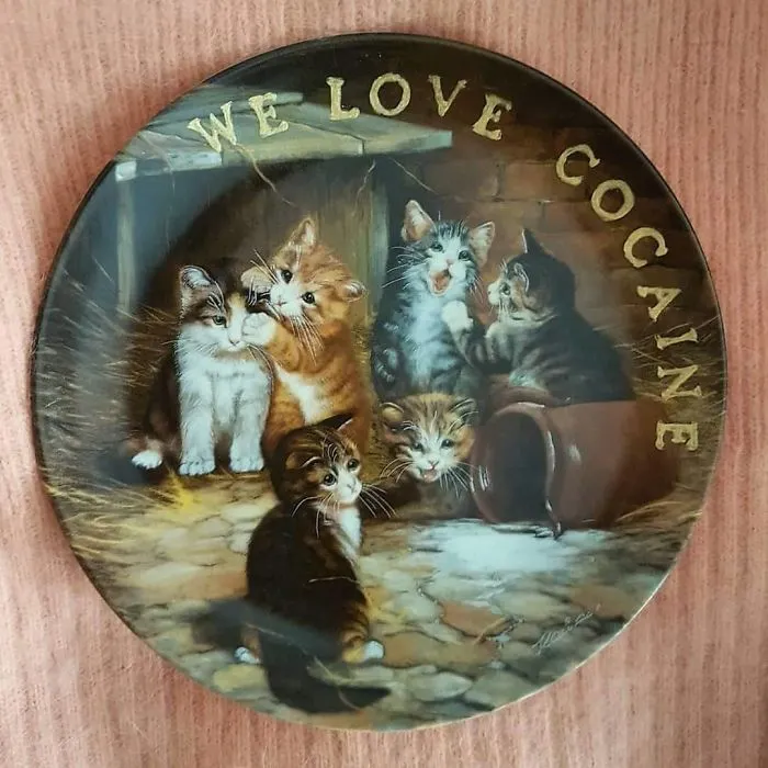 My 40 'Very Ugly Plates' With Dark Humor Captions