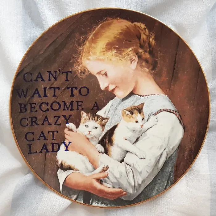 My 40 'Very Ugly Plates' With Dark Humor Captions