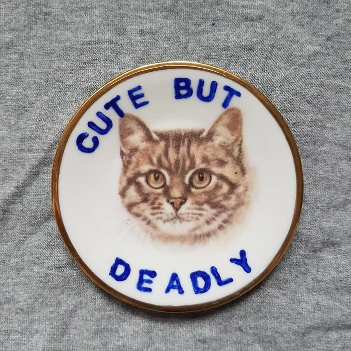 My 40 'Very Ugly Plates' With Dark Humor Captions
