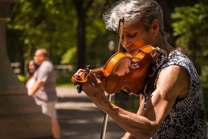 The Violinist