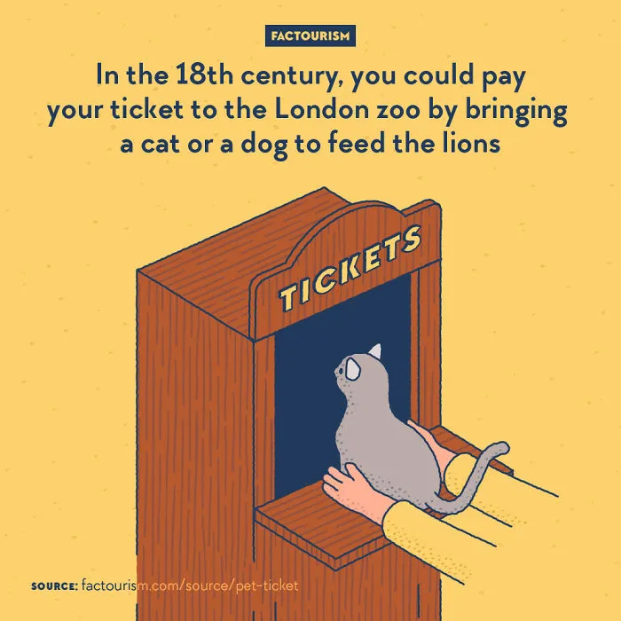 We Illustrated 40 Of The Most Fascinating Facts About Our World