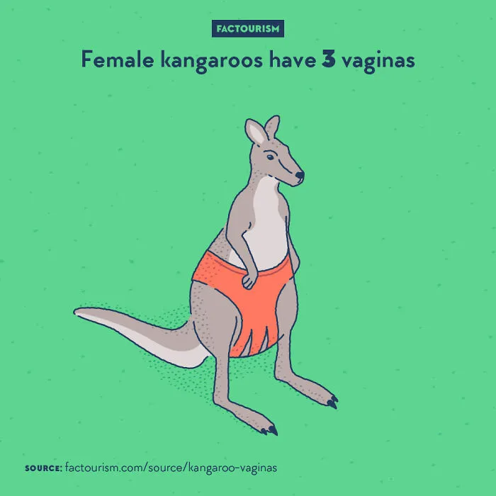 We Illustrated 40 Of The Most Fascinating Facts About Our World