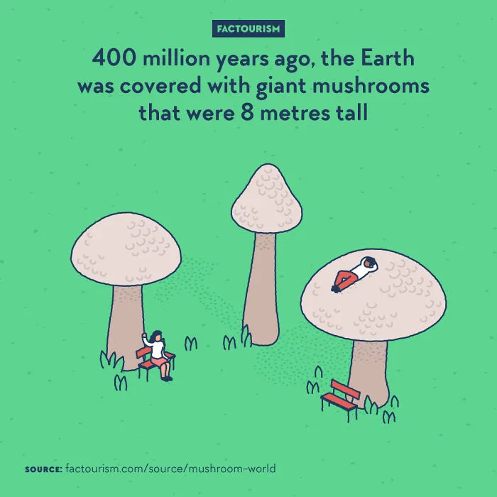 We Illustrated 40 Of The Most Fascinating Facts About Our World