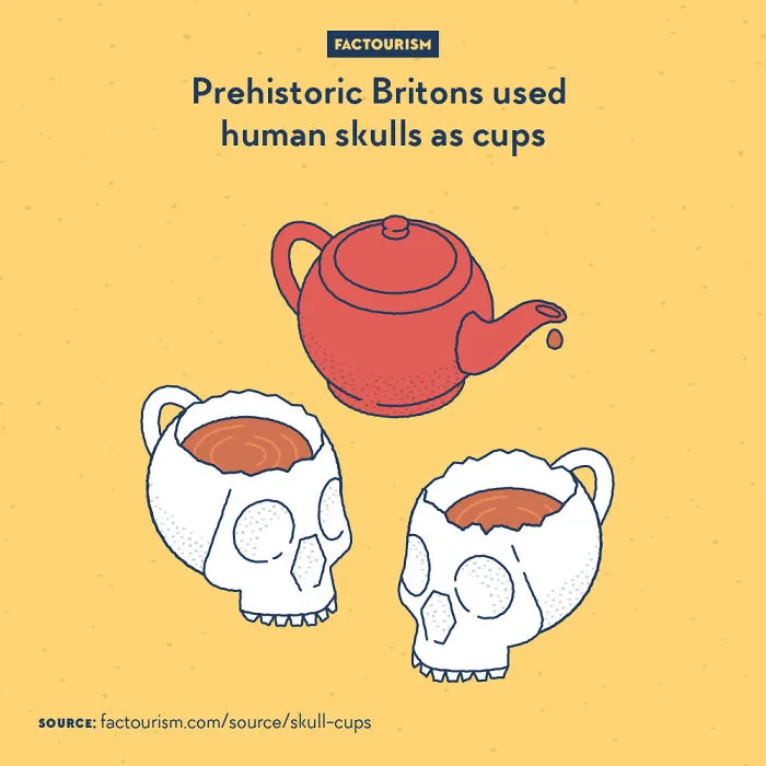 We Illustrated 40 Of The Most Fascinating Facts About Our World