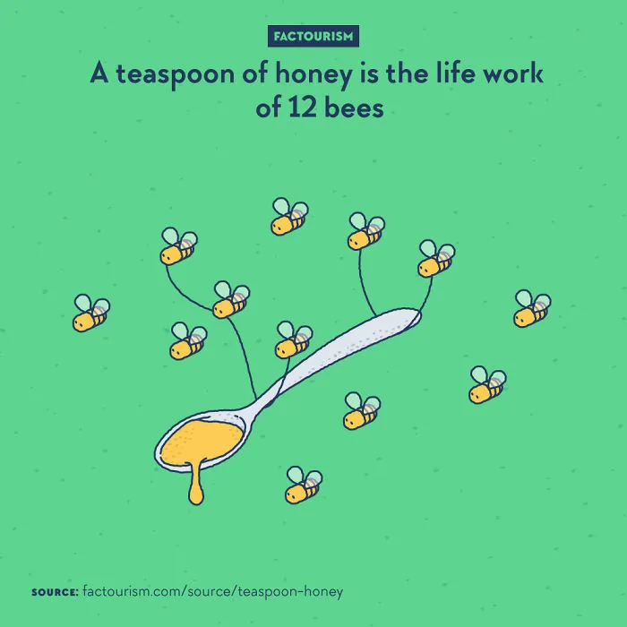 We Illustrated 40 Of The Most Fascinating Facts About Our World