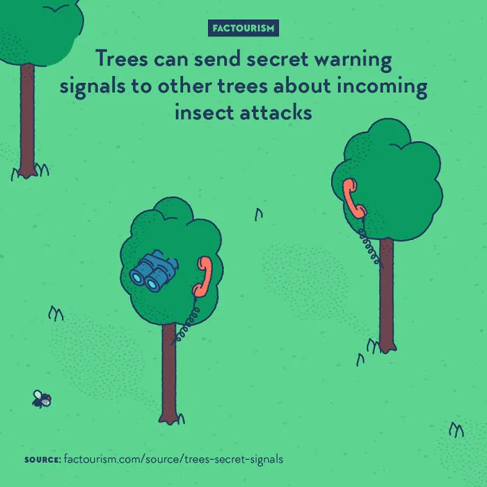 We Illustrated 40 Of The Most Fascinating Facts About Our World