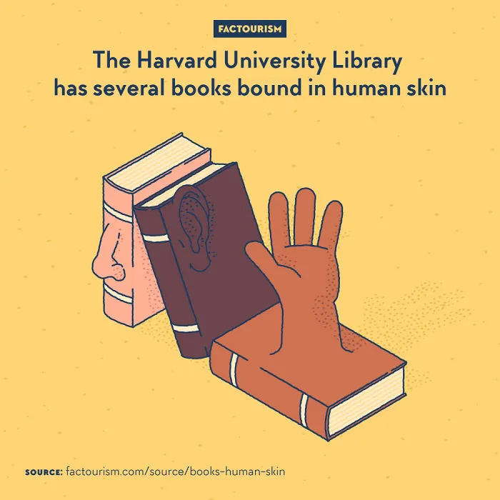 We Illustrated 40 Of The Most Fascinating Facts About Our World