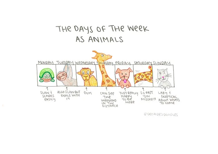 Animals Of The Week
