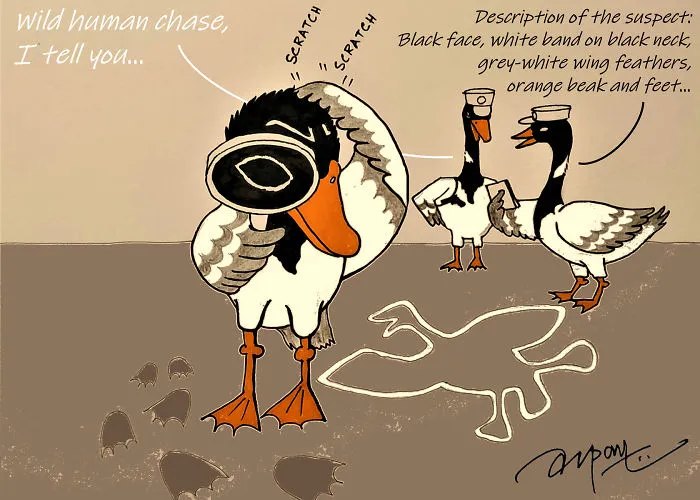 Wild Goose Chase