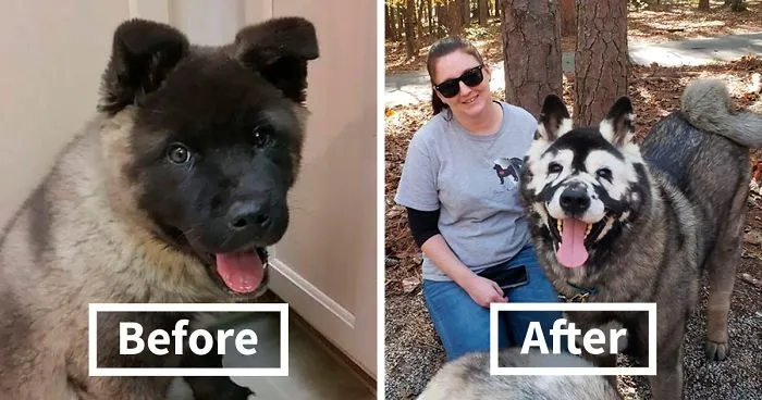 Owners Share Their Unique-Looking Pup's Heartbreaking Journey To Educate Others About A Very Serious Disease