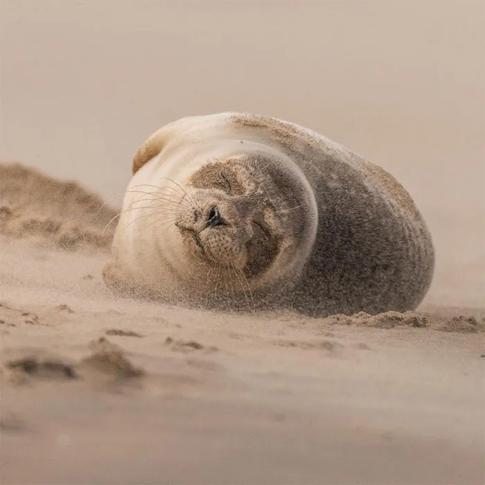 Photographer Captures The Precious Moments Of What Happens In Nature When No One's Around (30 Pics)