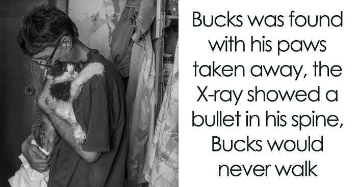 I Capture A Heartbreaking Story About A Woman That Dedicated Her Life To Stray Cats Despite Her Own Hardships