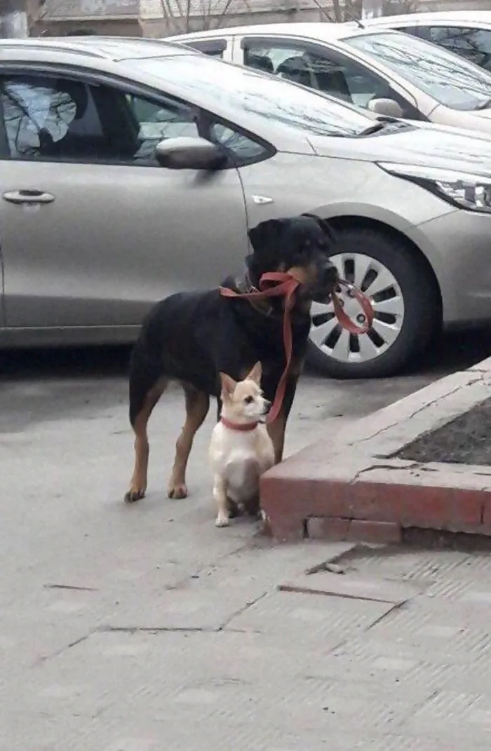People Are Posting Pics Of Animals With Threatening Auras, And Here Are 45 Of The Best Ones